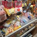 견생냥품 24시 무인펫샵 평택 고덕국제점 이미지