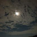 디비라인