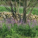 이화농장3 이미지