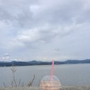 당동박씨네커피