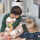 사하동물병원 | 5개월 포메라니안, 3차 접종 동물병원후기, 비용