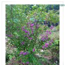 가을농장 이미지