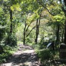 금잔디상회 이미지