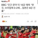 한국-포르투갈전 승리 맞췄던 BBC 문어 서튼의 한국-브라질전 예상 이미지