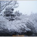 은혜병원 이미지