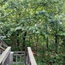 마리 펜션 이미지