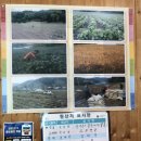 순옥보리밥 이미지