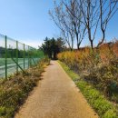 강변공원 주차장 이미지