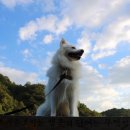 하늘과바람의호수 이미지