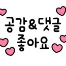 낙원당낙곱새전문점 이미지