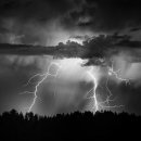 유재하농장 이미지