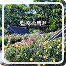 전북 전주 데이트 코스 추천 한국도로공사 전주수목원 장미정원 장미의뜨락
