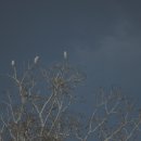 칠성시장역 이미지