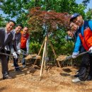 현대7호 이미지