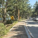 송정동 해안도로 이미지