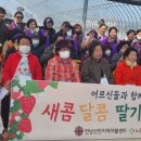 팔금농장 이미지