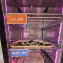 금성정육점 네이버블로그