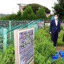 선흘초등학교 이미지