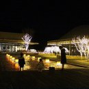 가평잣나무숲하우스 이미지