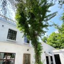 축사랑목장 이미지