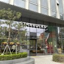 스타벅스 청계크리스탈스퀘어점 | [서울/중구]초코품은 부생카 드디어 나도 ! 종각 을지로 카페 ‘스타벅스 청계크리스탈스퀘어점’