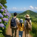 세화리마을회 | 6 월 제주 오름 산책 가이드 – 걷기 편한 7곳의 상세 코스·시설·팁 총정리