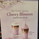 Blossom cafe(블로섬 카페) 이미지