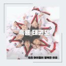 흑룡태권도장 이미지