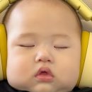 아가츄 네이버블로그
