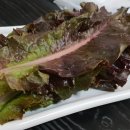 미가식당 이미지