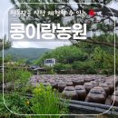 재호농장 | 아이와 함께 하기 좋은 전통 장 체험, 고성 콩이랑농원에서 고추장 만들기 체험 하고 온 후기!