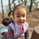 춘추 유아숲체험원 이미지
