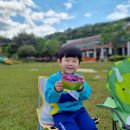 신나는 과학(B) 이미지