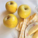 경북농약농자재할인마트 | 사과 꿀사과 청송 문경 시나노골드[아삭한 식감, 꿀부사, 박스 무게 뺀 정직한 실중량] 감홍 못난이...