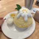 에프터유 줄서서 먹는 디저트 빙수 카페 후기(메뉴,가격)