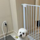 쭈니살롱 이미지