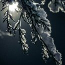 골든PC클럽 이미지