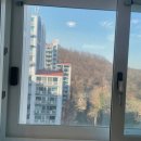 클린독 | 입주청소는 역시 클린독! 하루 한집, 친환경 청소대행의 정석