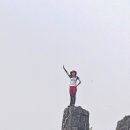 일림 이미지