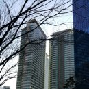 분당-177 이미지