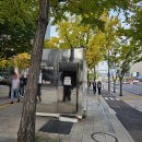 서울시티투어버스(주) | 서울 시티 투어 버스 2층 버스 / 평일 후기, 예약, 꿀팁