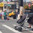 스트롤러 이미지