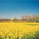 낙동강체육공원 축구장4 | 무르익는 봄, 낙동강 체육공원