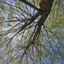 도톰 유부 | 파주 장산전망대 &amp; 도톰유부 후기: 북한일까? 아닐까? 풍경 맛집 + 도시락 조합으로 소풍 완성!