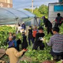 예수선교협회 이미지