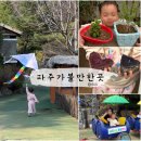 술이홀로(1) | 파주 촌캉스 : 쇠꼴마을 봄시즌 당일치기 아기랑 / 33개월 후기