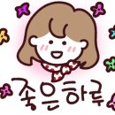 우리동네점핑
