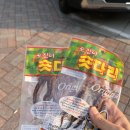 숏다리 | 입이 심심할 때 찾게 되는 순돌이네 숏다리 후기