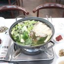 낙지박사 이미지