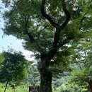 전등사매표소(동문) 이미지